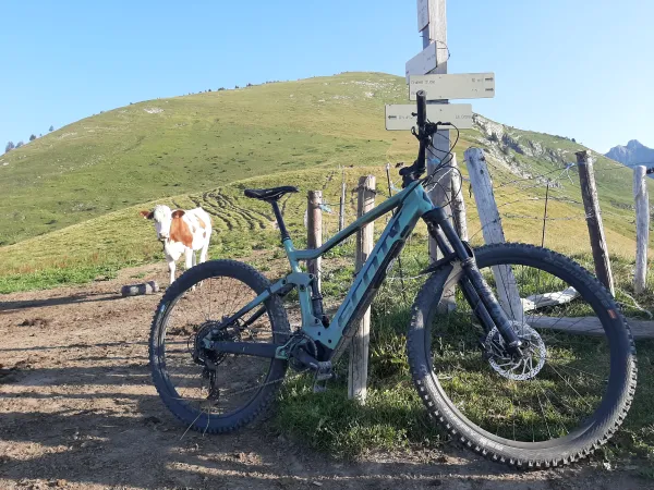 Sorties VTT/ VTT électrique avec EMTB guide Morzine_Morzine