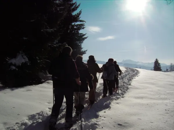 Sortie raquettes encadrée - Vecteur Montagne