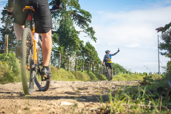 Sortie VTC électrique - Découverte des bois et du Château d'Allinges