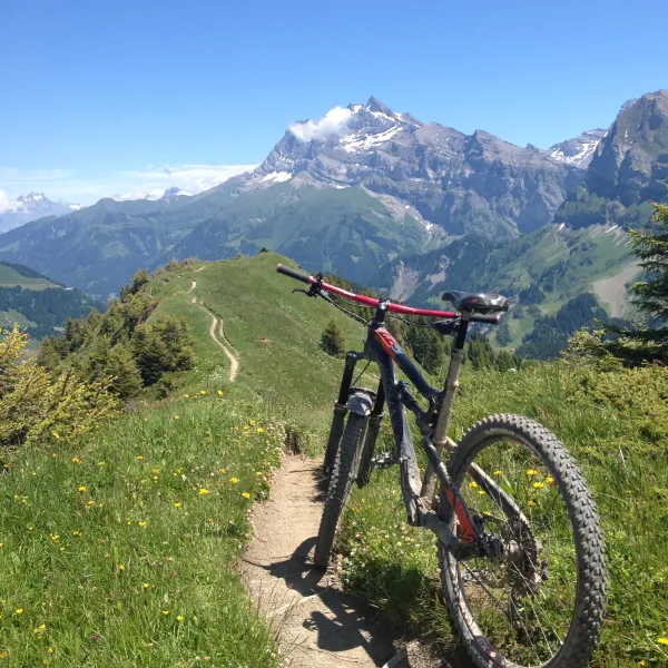 Ecole de VTT Synergie