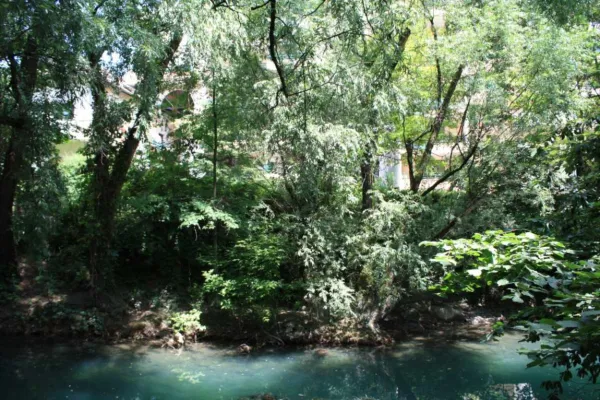 Thiou à Annecy et Cran-Gevrier