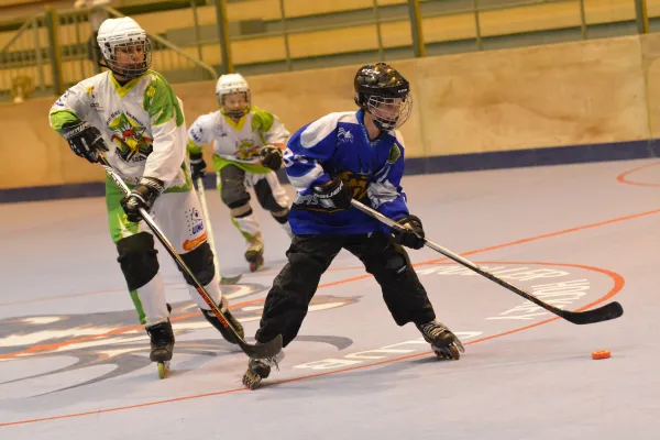 Roller Hockey