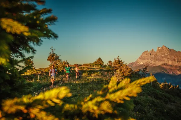 Trail circuit 47 rouge - Pointe des Follys