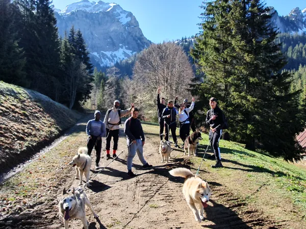 Traîneaux Passion - Parc Nordique