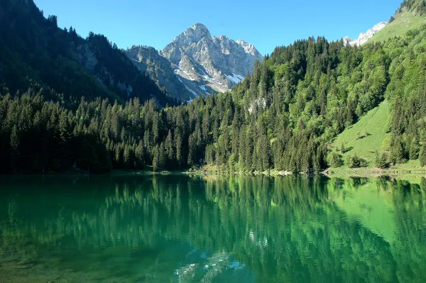 Tour du lac des Plagnes