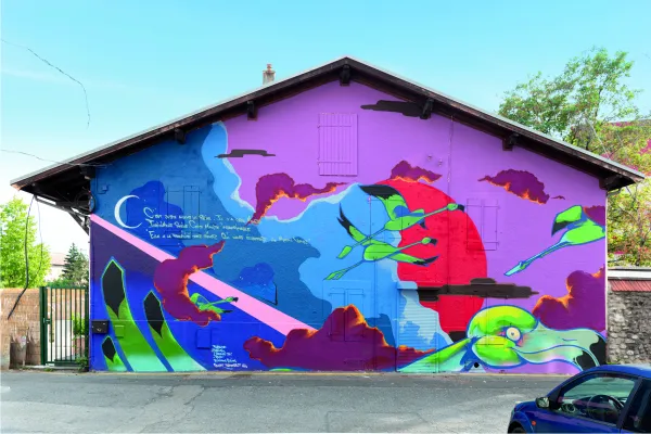 Transect - Street art