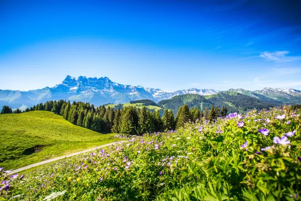 Trail circuit 44 bleu - Abondance par la Plaine Joux
