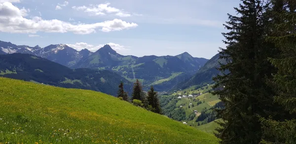 Trail circuit 45b vert - Boucle du Mont depuis le village d'Abondance