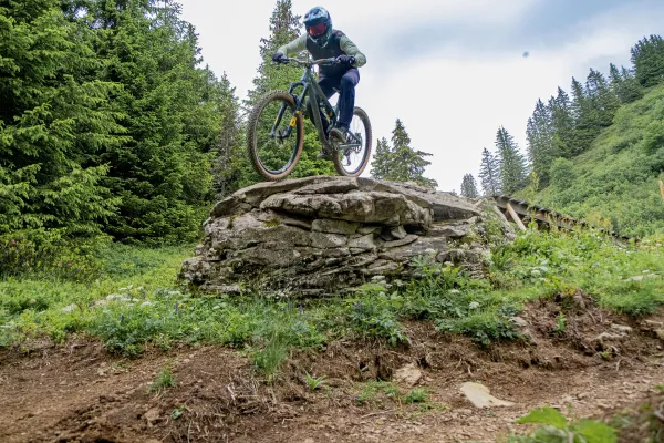 Variante descente du Loup - Piste VTT Descente N°9