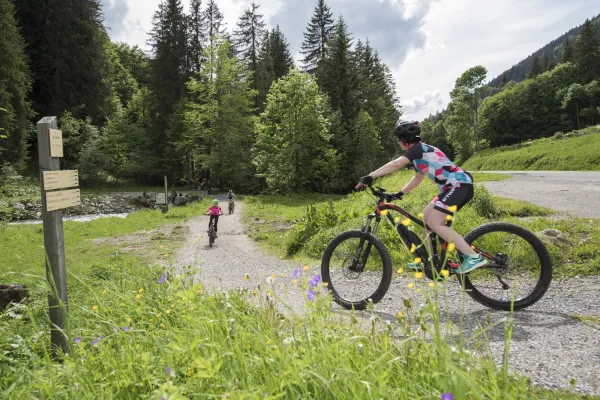 VTT électrique
