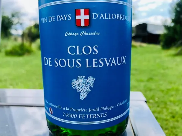 Vin de Féternes - Clos de sous Lesvaux