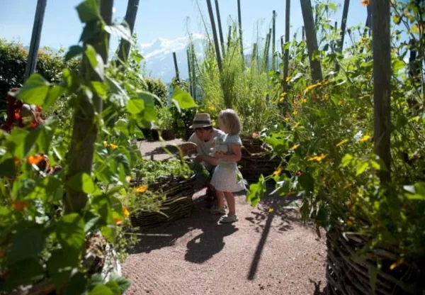Visite guidée du Jardin des Cimes