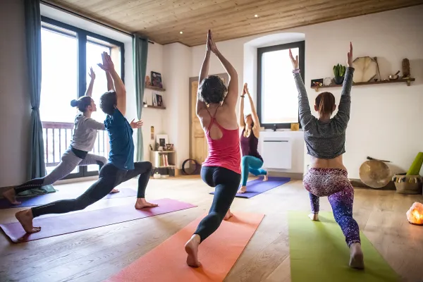 Yoga : hatha yoga et pranayamas
