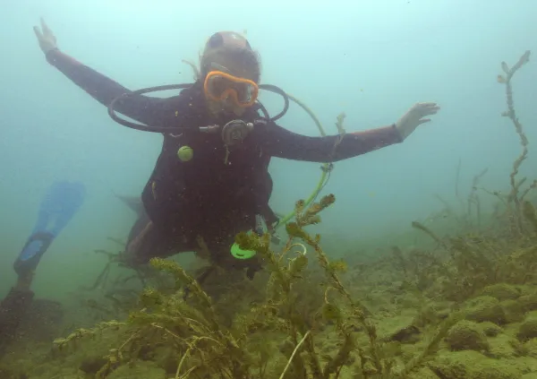 Baptême de plongée dans le Léman