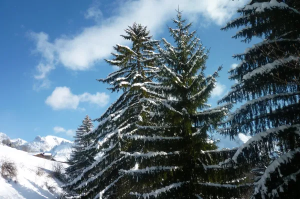 Activités enfants : sortie raquettes trappeurs
