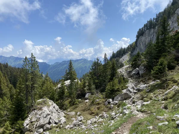Aller-retour à l'alpage de la Bouchasse