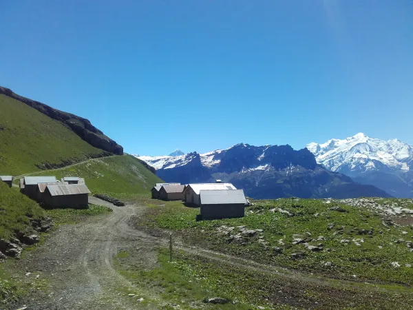 Alpage de Vormy
