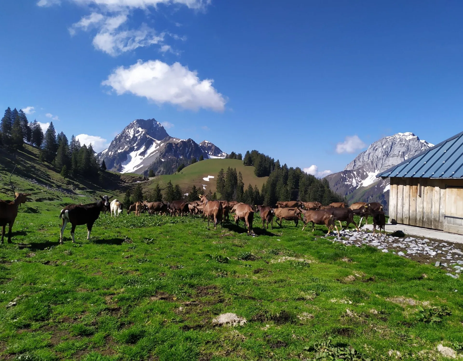 Giez en Haute-Savoie