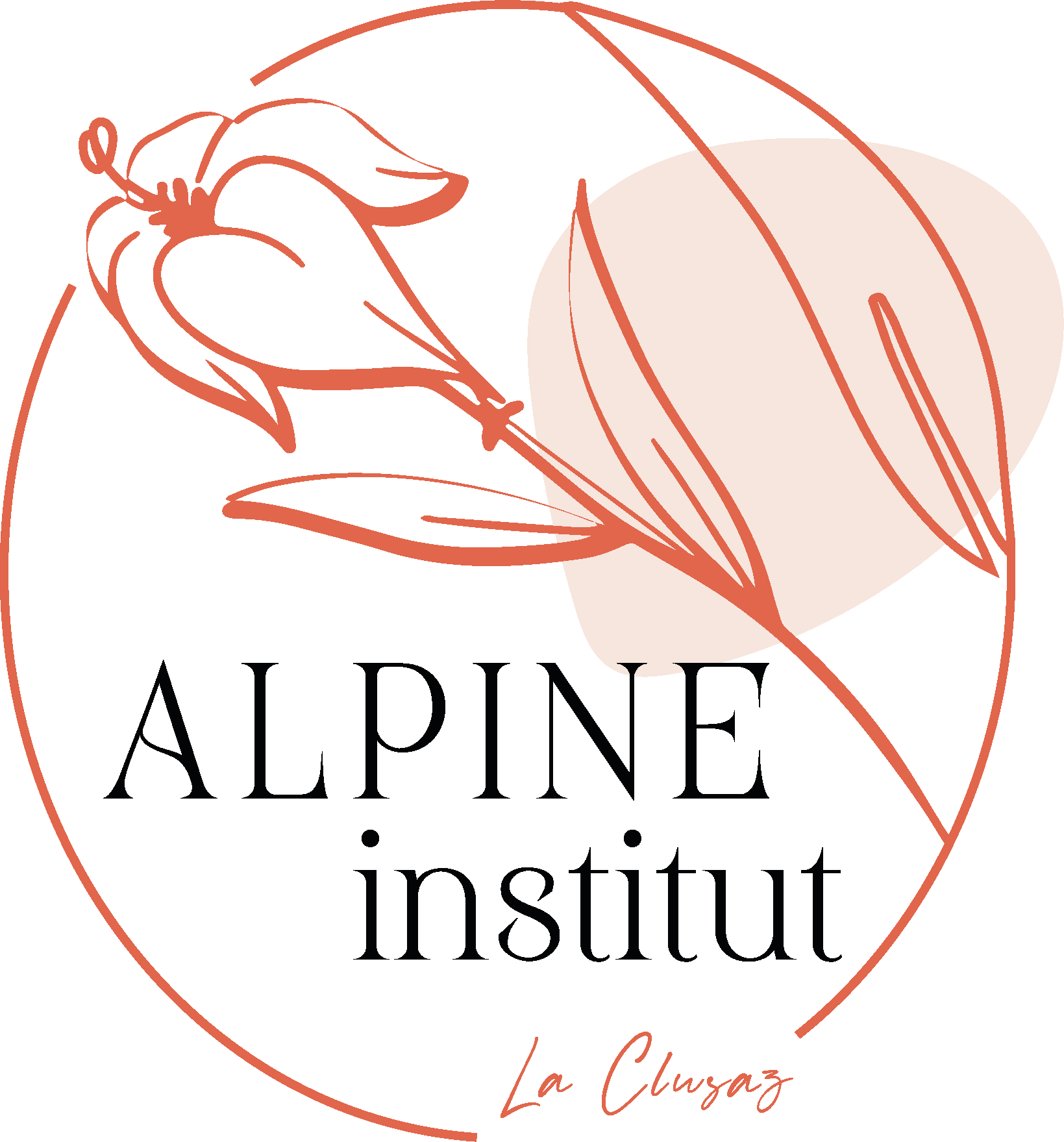 Alpine Institut_La Clusaz