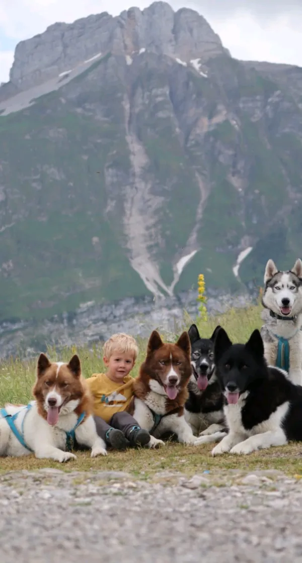 Atelier 3 à 6 ans avec nos chiens de traîneaux