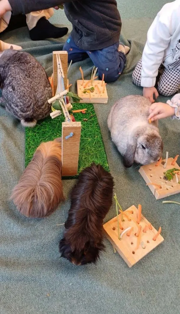 Atelier de médiation animale dès 2 mois