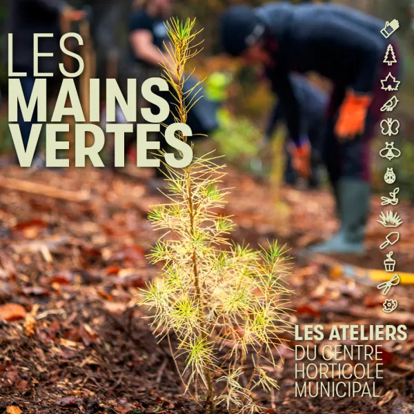Atelier découverte : Histoire naturelle du lac d'Annecy