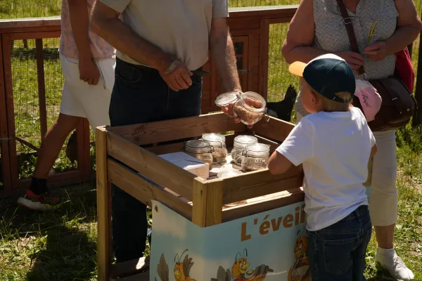 Atelier "Découverte de l'apiculture"