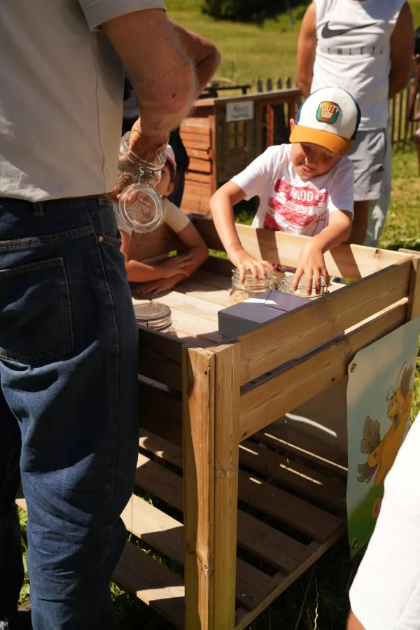 Atelier "Découverte de l'apiculture"_Morzine
