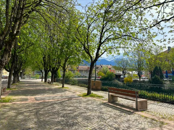 Balade des quais