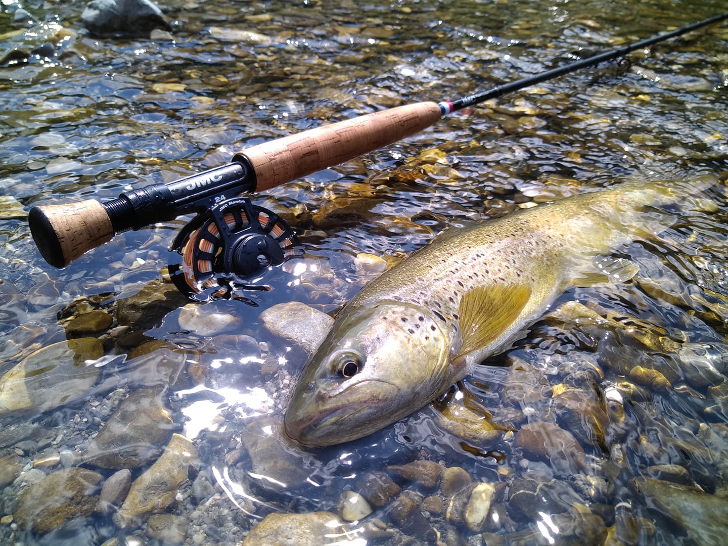 Axel Mugnier & Travel fishing guides à Domancy