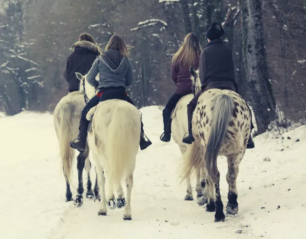Balade hivernale à cheval