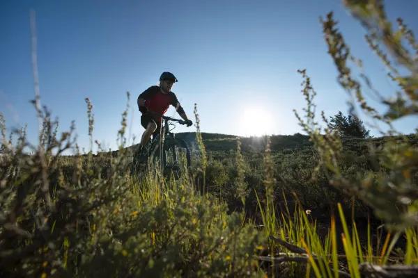 Balade Agricole en VTT