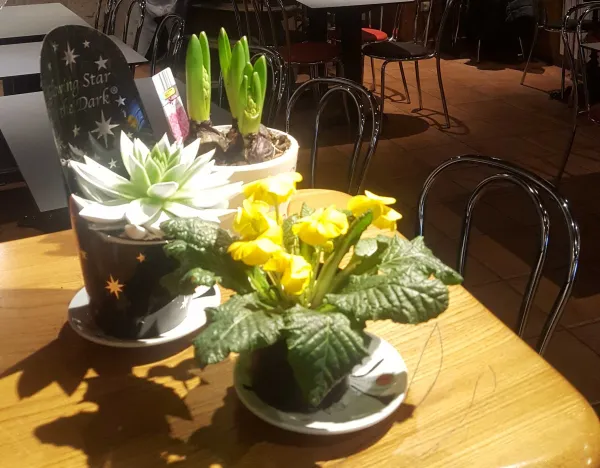 Décoration table