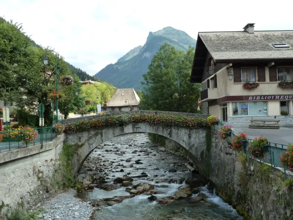 Bibliothèque “Le Vieux Pont“