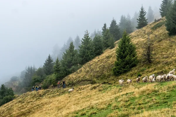 Bleue - G - Liaison Les Gets/ Morzine par les Mouilles