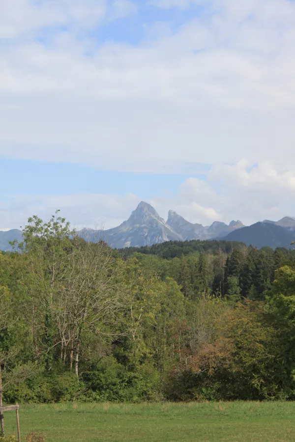 Vue depuis Féternes