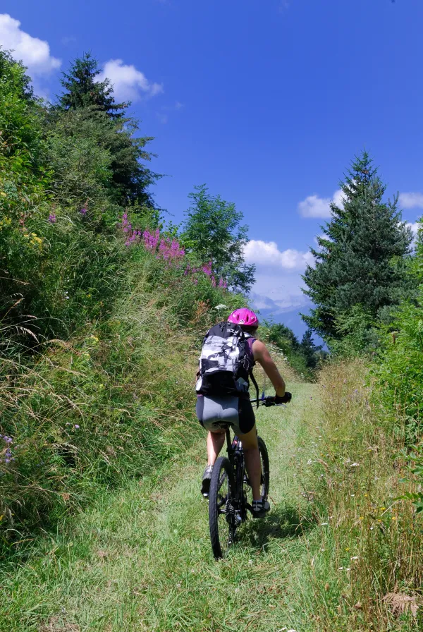 Boucle cyclotouristique "Découverte des alpages des Carroz" (Boucle VTT)