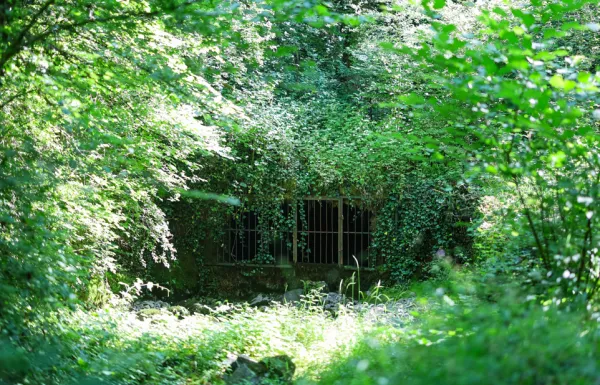 Boucle de la source du Biel