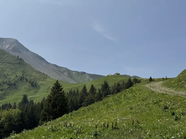 Randonnée pédestre : Boucle d'Orgeval_Faverges-Seythenex