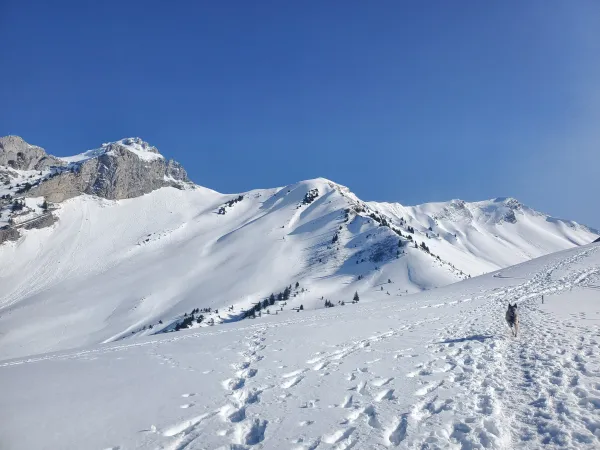 Randonnée pédestre : Boucle d'Orgeval_Faverges-Seythenex