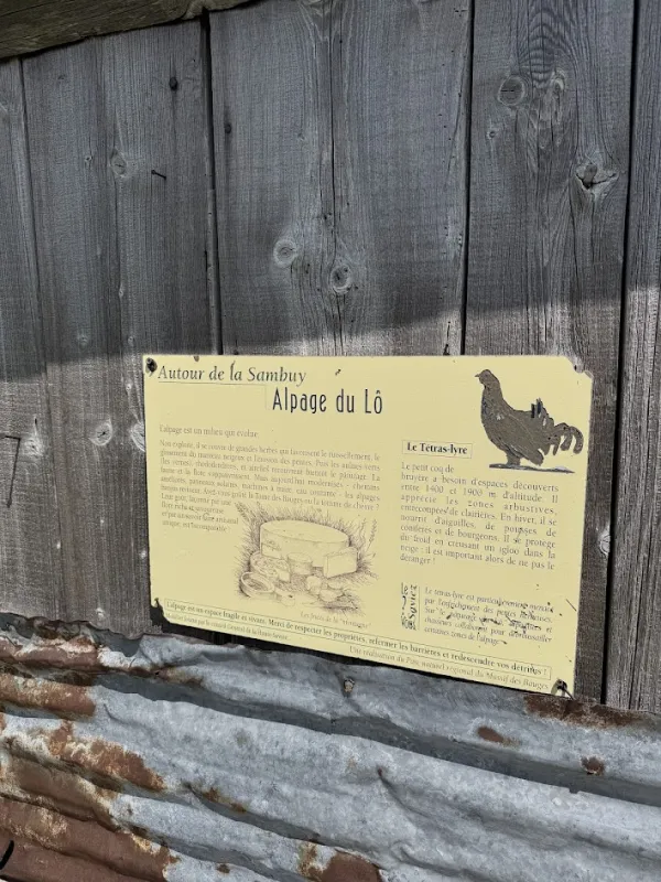 Randonnée pédestre : Boucle d'Orgeval_Faverges-Seythenex