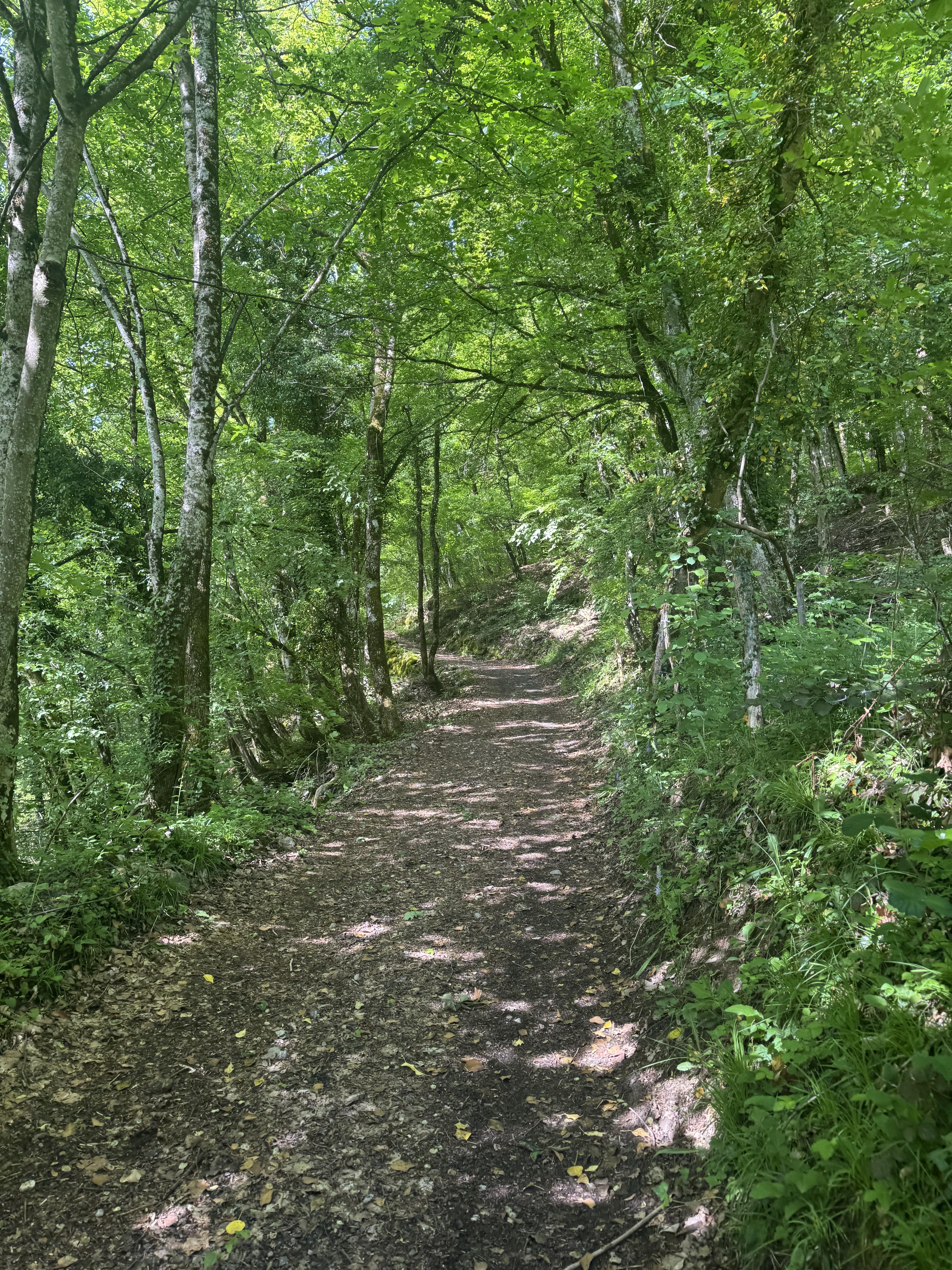 Boucle au Roc de Viuz (petite boucle) à Saint-Ferréol