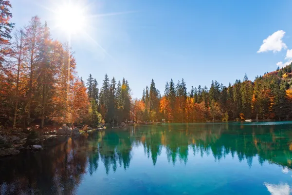 Lac vert en automne