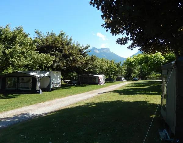 Terrain ombragé