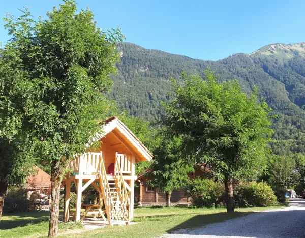 chalet entouré d'arbres