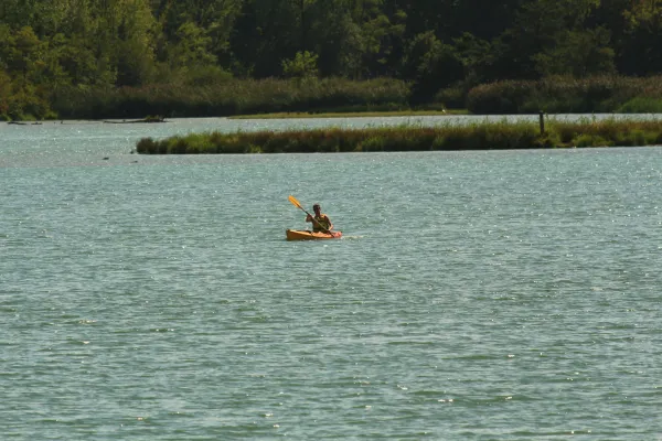 Canoë Kayak : descentes du vieux Rhône - la Petite