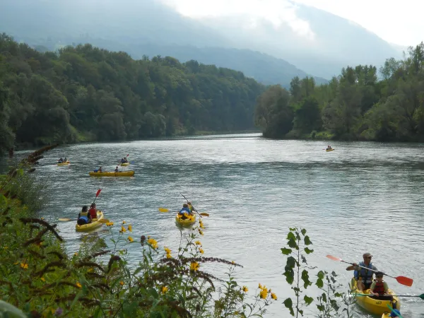 Canoë kayak : descente du Vieux Rhône - La Bivouac 'Eau Lac