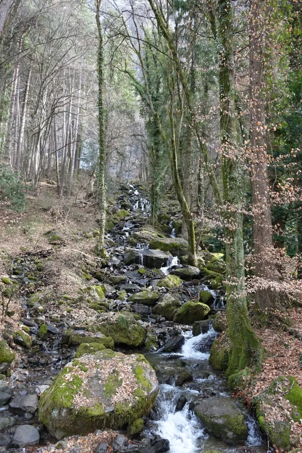 Ruisseau