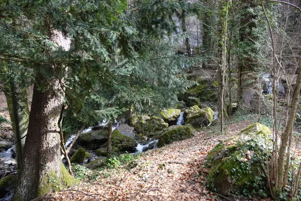 Sentier