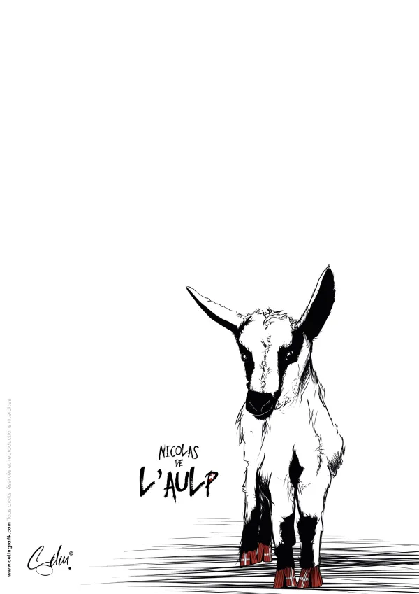 GAMME CELIN DANS L'AULP